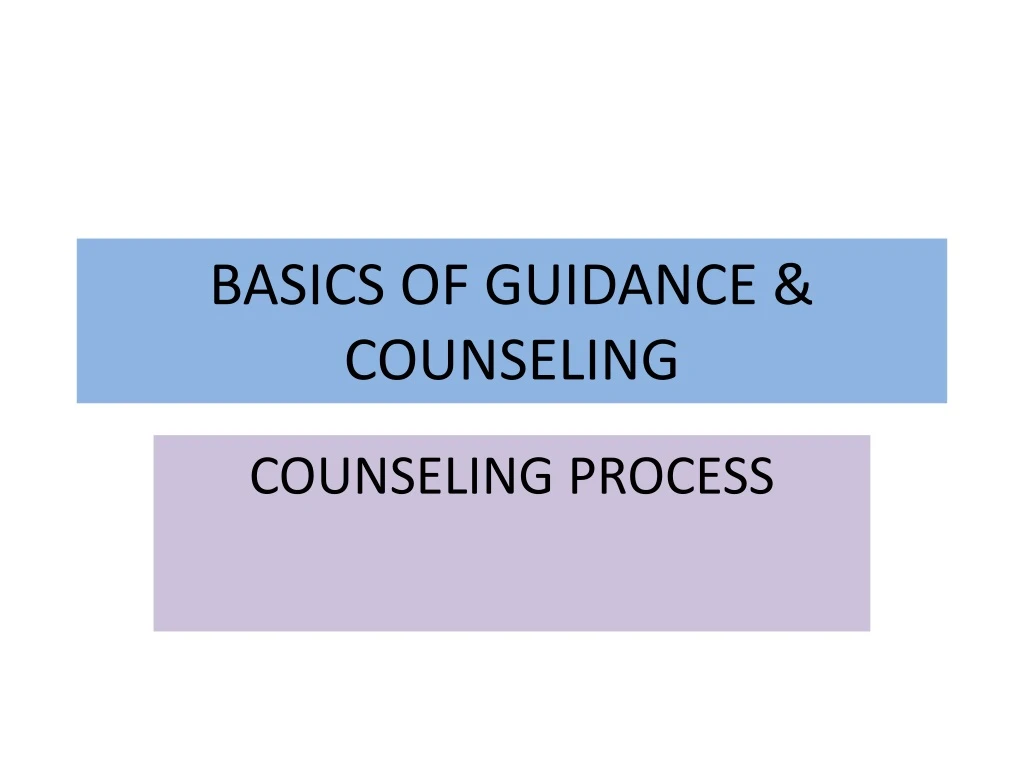 basics of guidance counseling