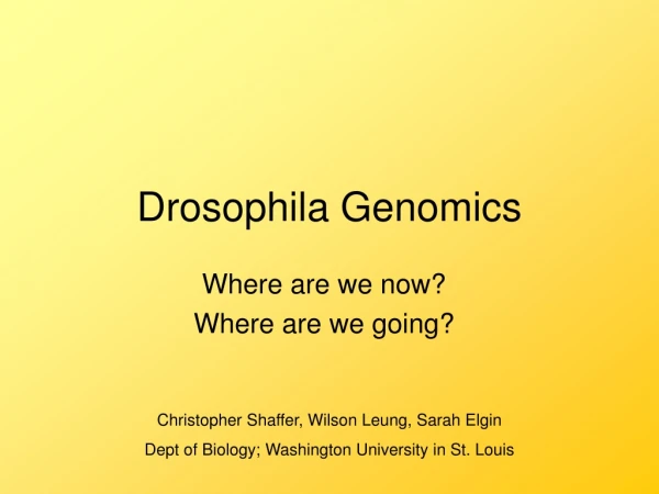 Drosophila Genomics
