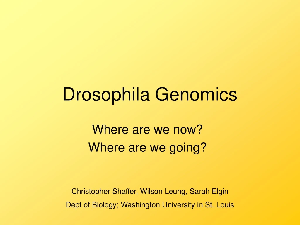 drosophila genomics