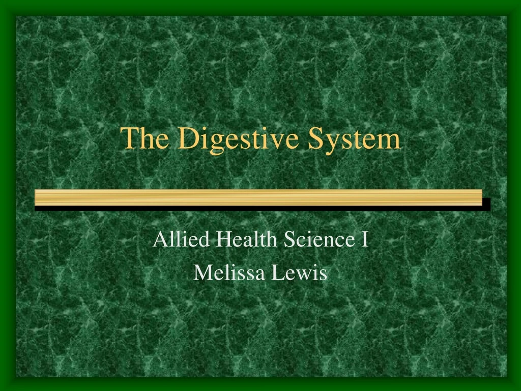 the digestive system