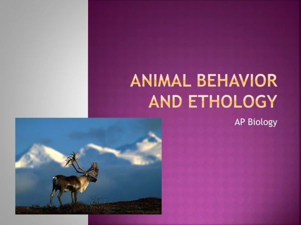 Animal Behavior and  Ethology