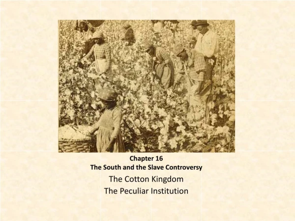 Chapter 16 The South and the Slave Controversy