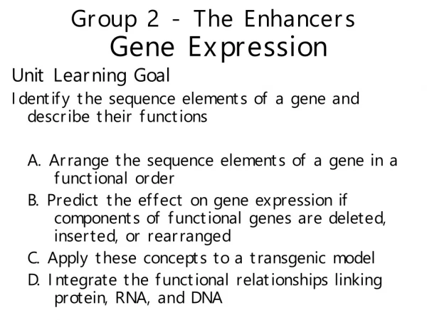 Group 2 - The Enhancers Gene Expression