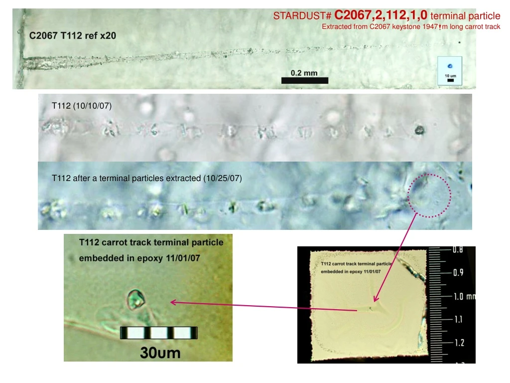 stardust c2067 2 112 1 0 terminal particle