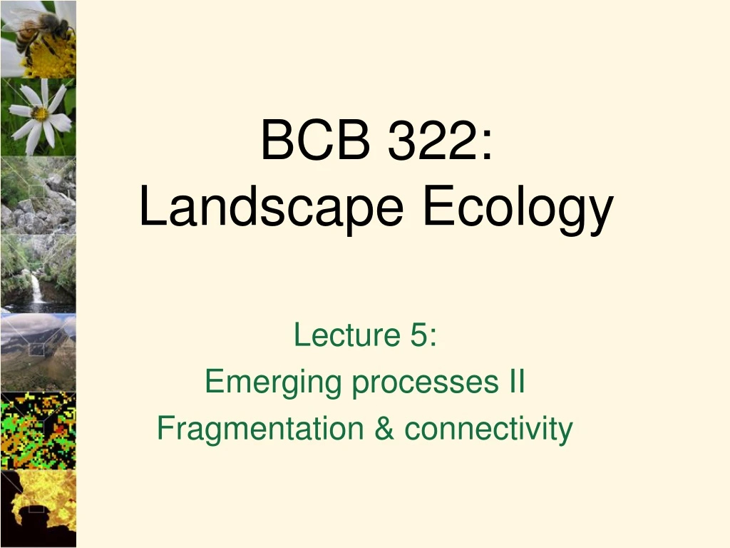 bcb 322 landscape ecology
