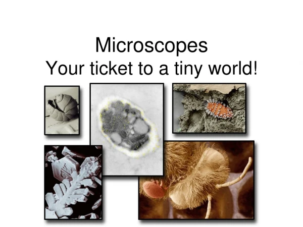 Microscopes  Your ticket to a tiny world!