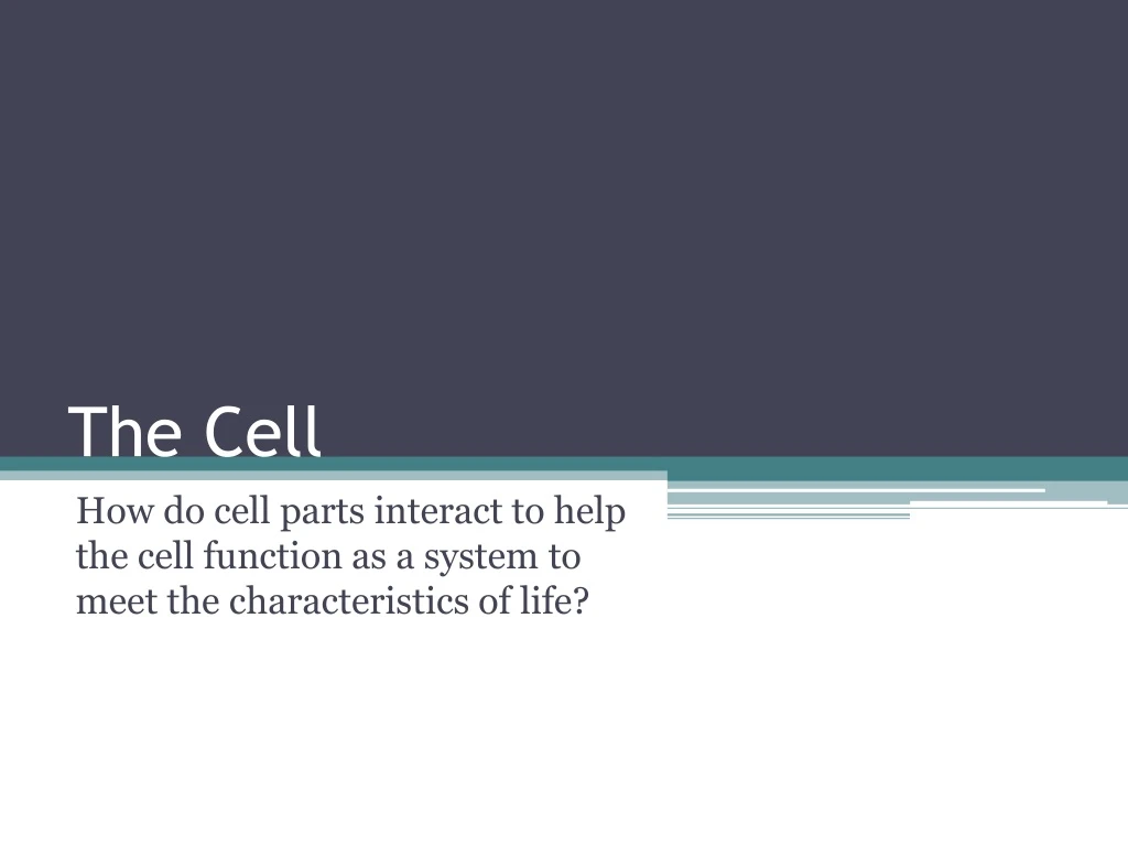 PPT - The Cell PowerPoint Presentation, Free Download - ID:9233191