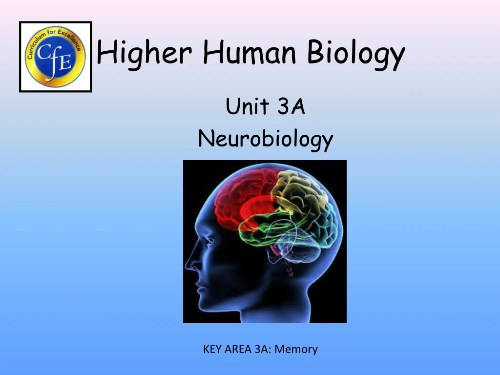 higher human biology