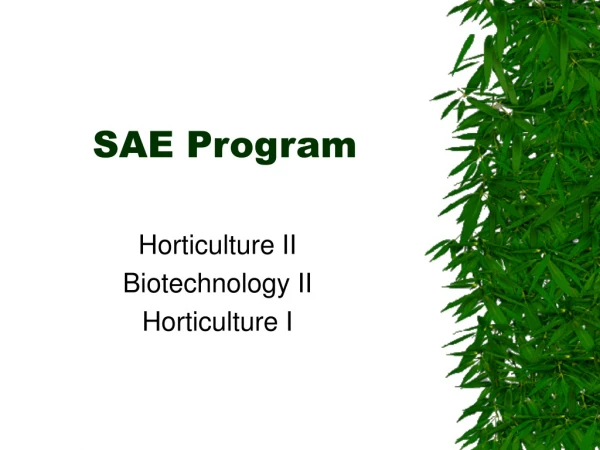 SAE Program