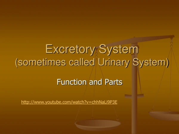 Excretory System (sometimes called Urinary System)