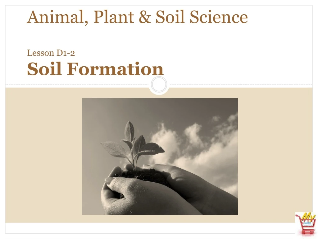 animal plant soil science lesson d1 2 soil formation