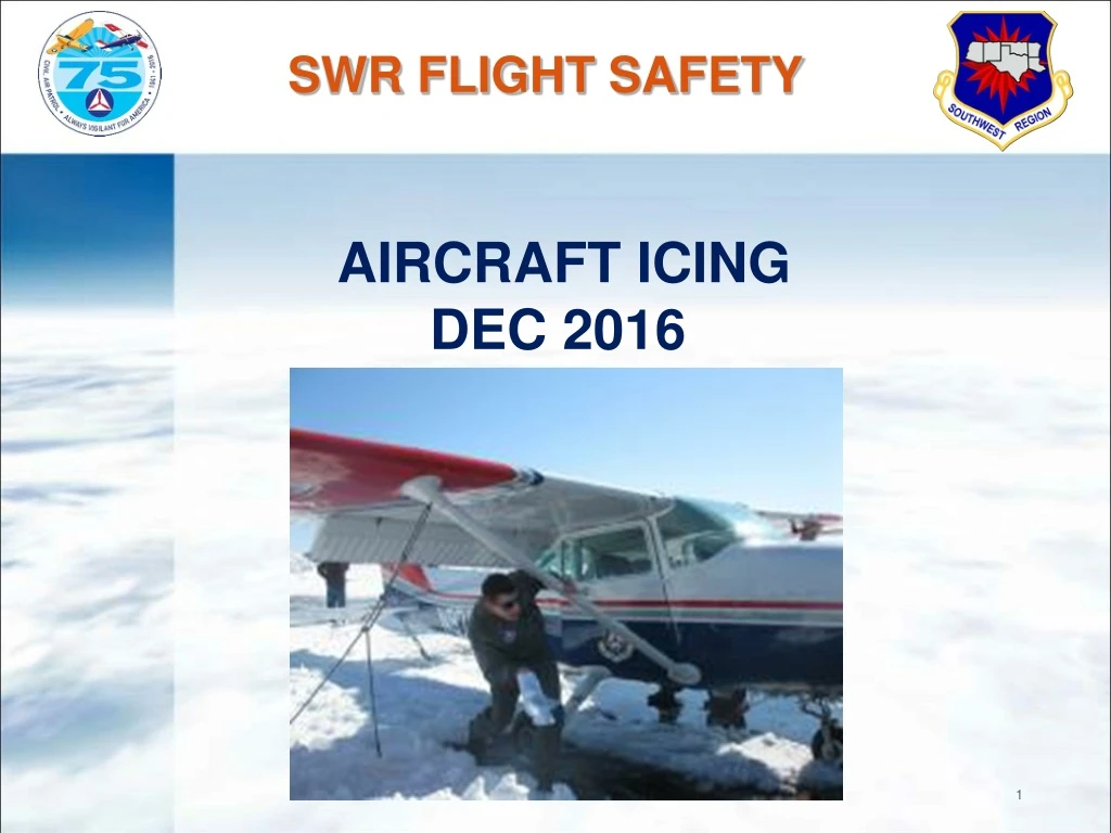 swr flight safety