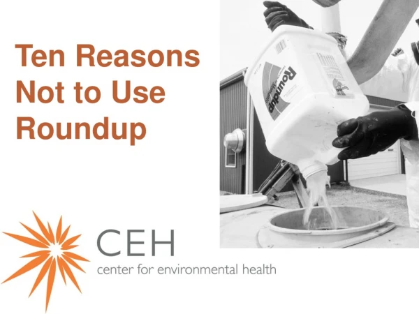 Ten Reasons Not to Use Roundup