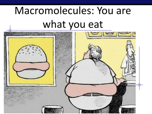 Macromolecules: You are what you eat
