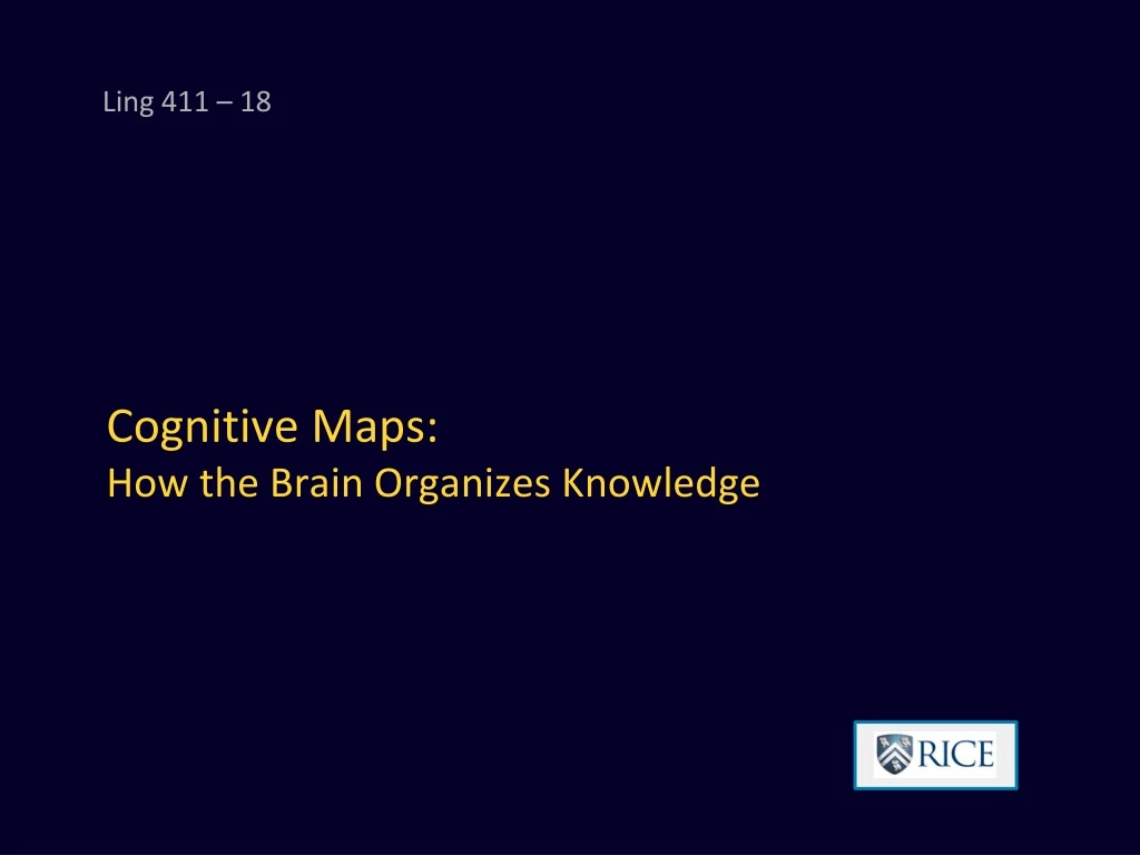 cognitive maps how the brain organizes knowledge