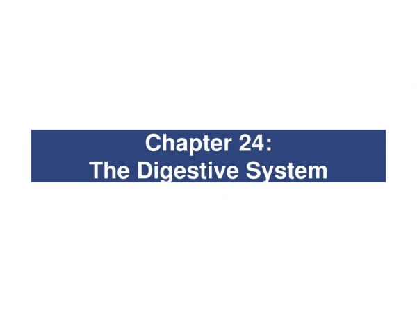 Chapter 24:   The Digestive System