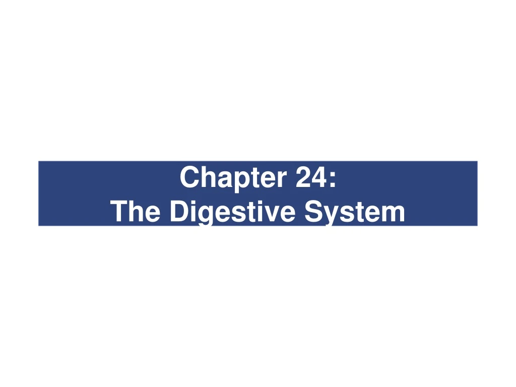 chapter 24 the digestive system