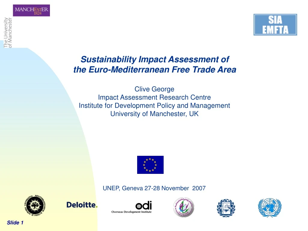 sustainability impact assessment of the euro