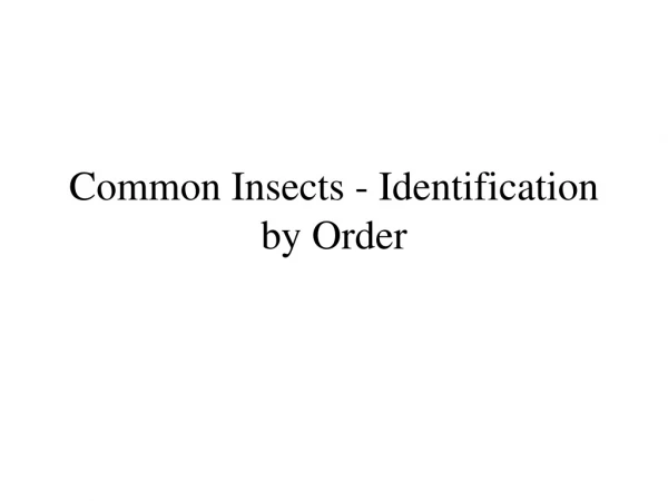 Common Insects - Identification by Order