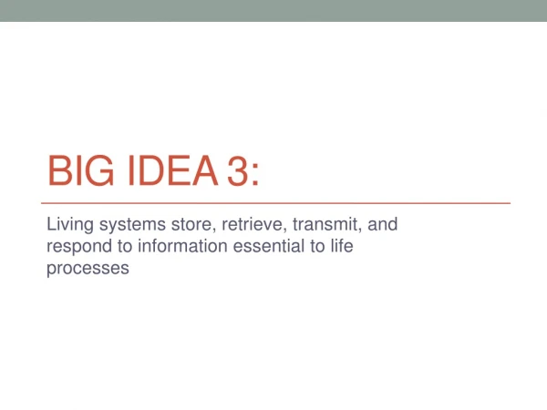 Big Idea 3: