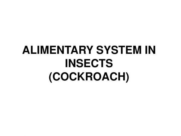 ALIMENTARY SYSTEM IN INSECTS (COCKROACH)