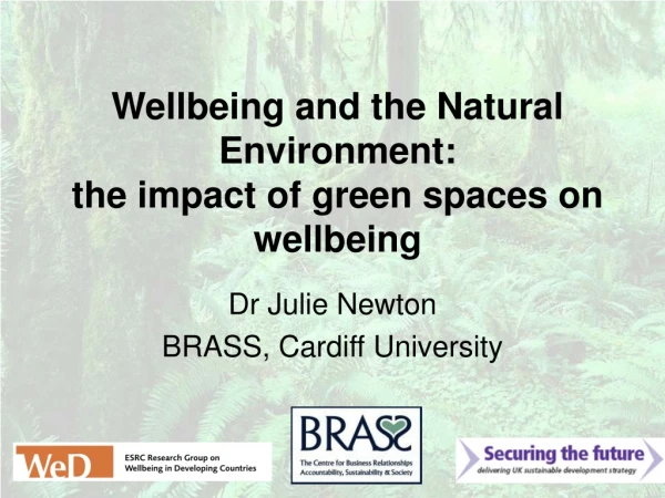 Wellbeing and the Natural Environment:  the impact of green spaces on wellbeing