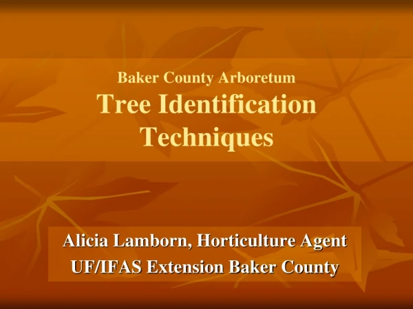 Baker County Arboretum Tree Identification  Techniques
