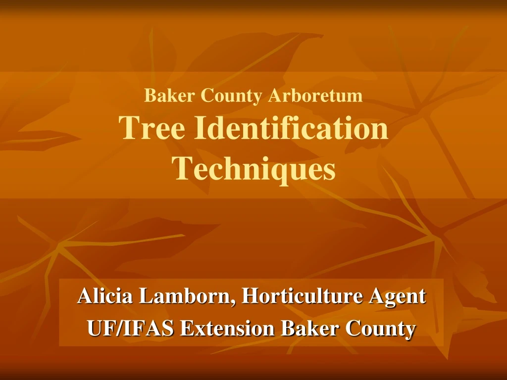 baker county arboretum tree identification techniques