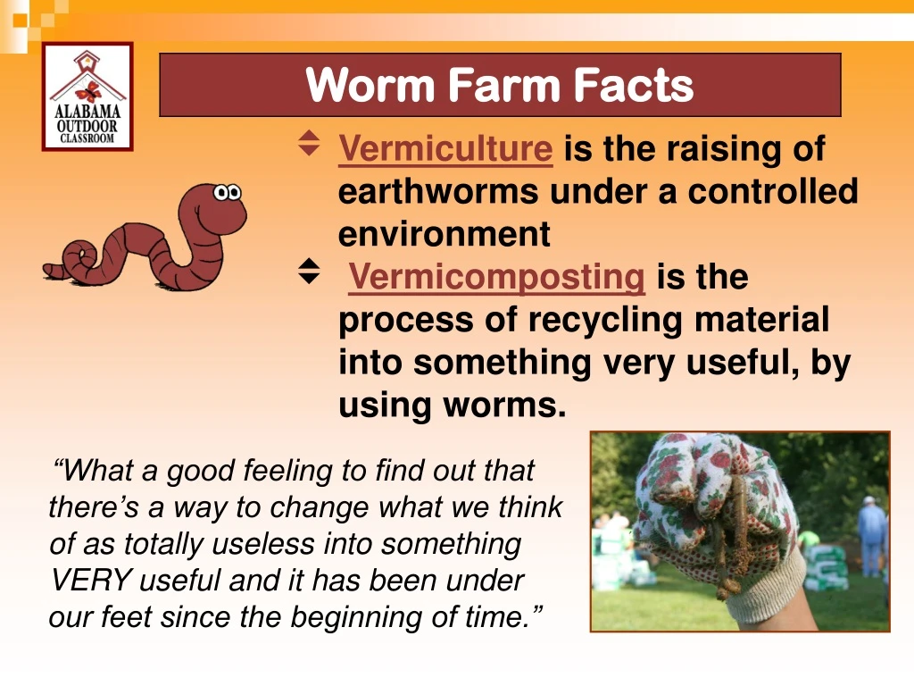 vermiculture is the raising of earthworms under