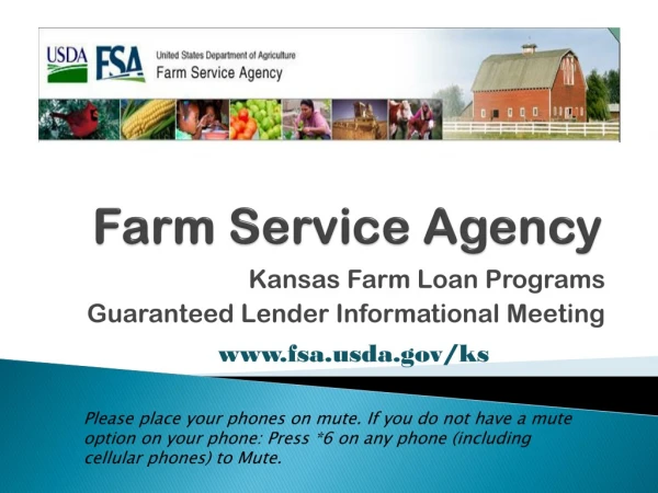 Farm Service Agency