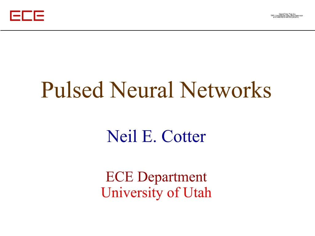 pulsed neural networks