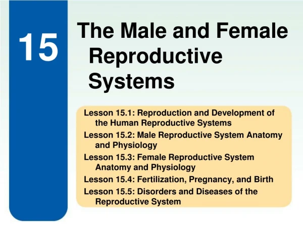 Lesson 15.1: Reproduction and Development of the Human Reproductive Systems