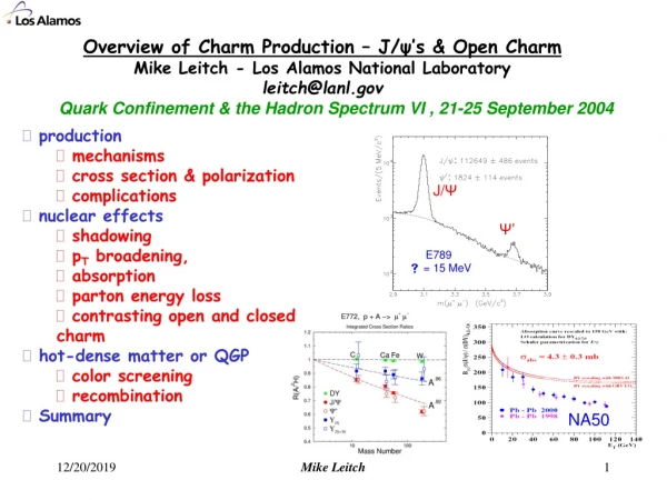 Quark Confinement &amp; the Hadron Spectrum VI , 21-25 September 2004