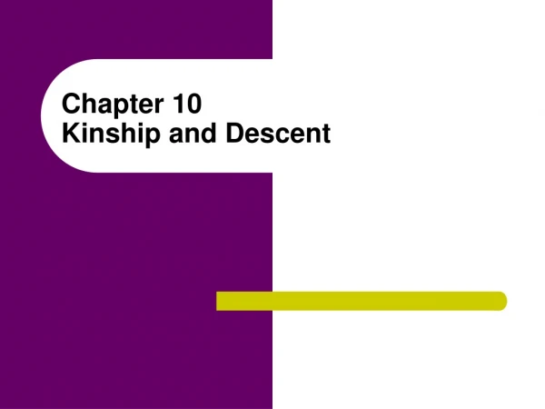 Chapter 10 Kinship and Descent