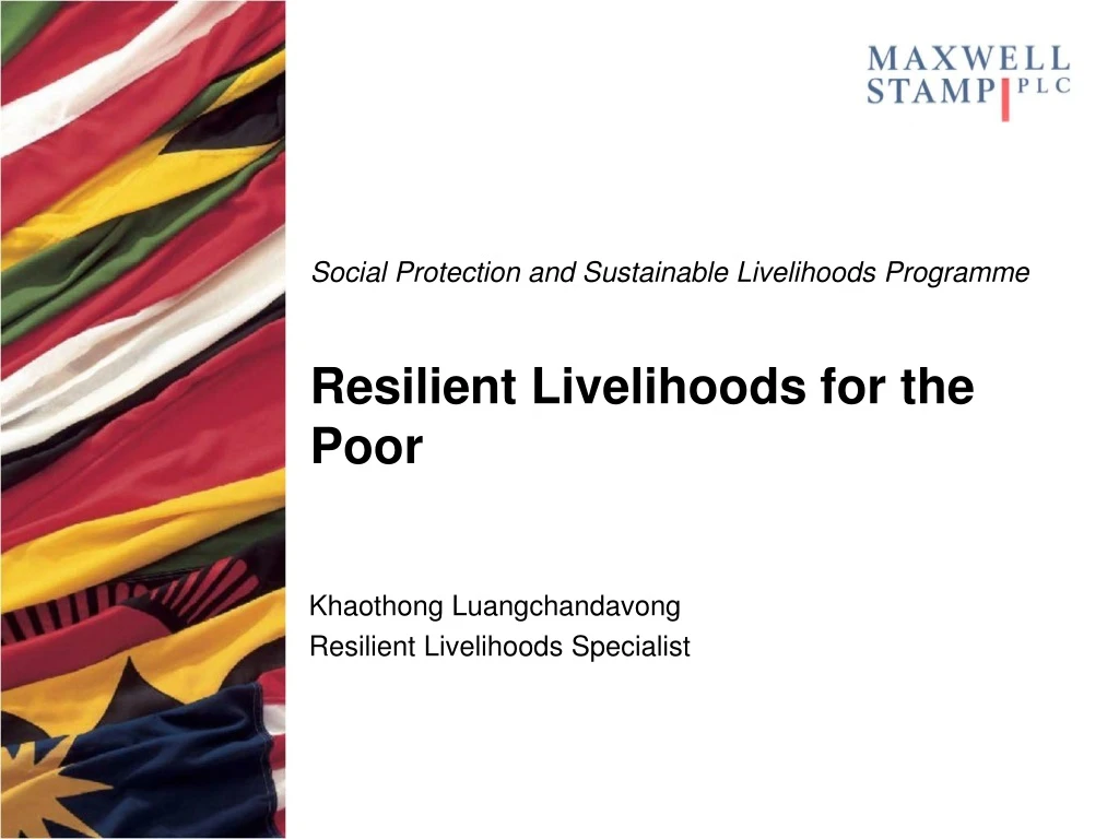 social protection and sustainable livelihoods programme resilient livelihoods for the poor