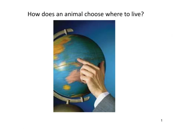 How does an animal choose where to live?