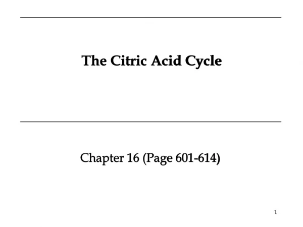 The Citric Acid Cycle