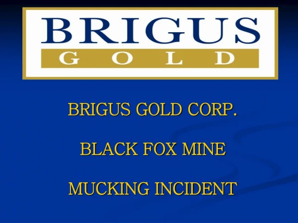 BRIGUS GOLD CORP.  BLACK FOX MINE  MUCKING INCIDENT