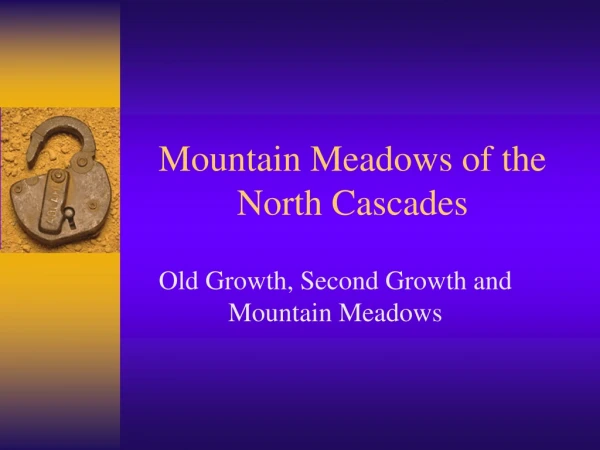 Mountain Meadows of the North Cascades