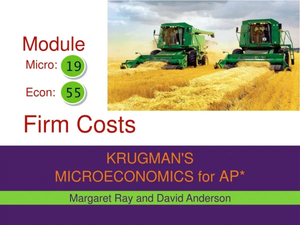 Firm Costs