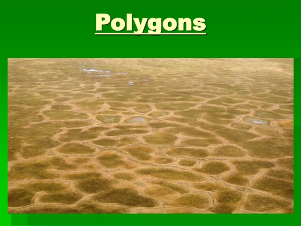 Polygons