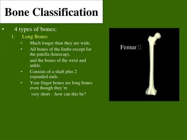 Bone Classification