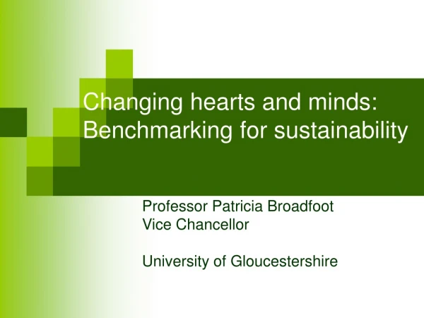 Changing hearts and minds: Benchmarking for sustainability