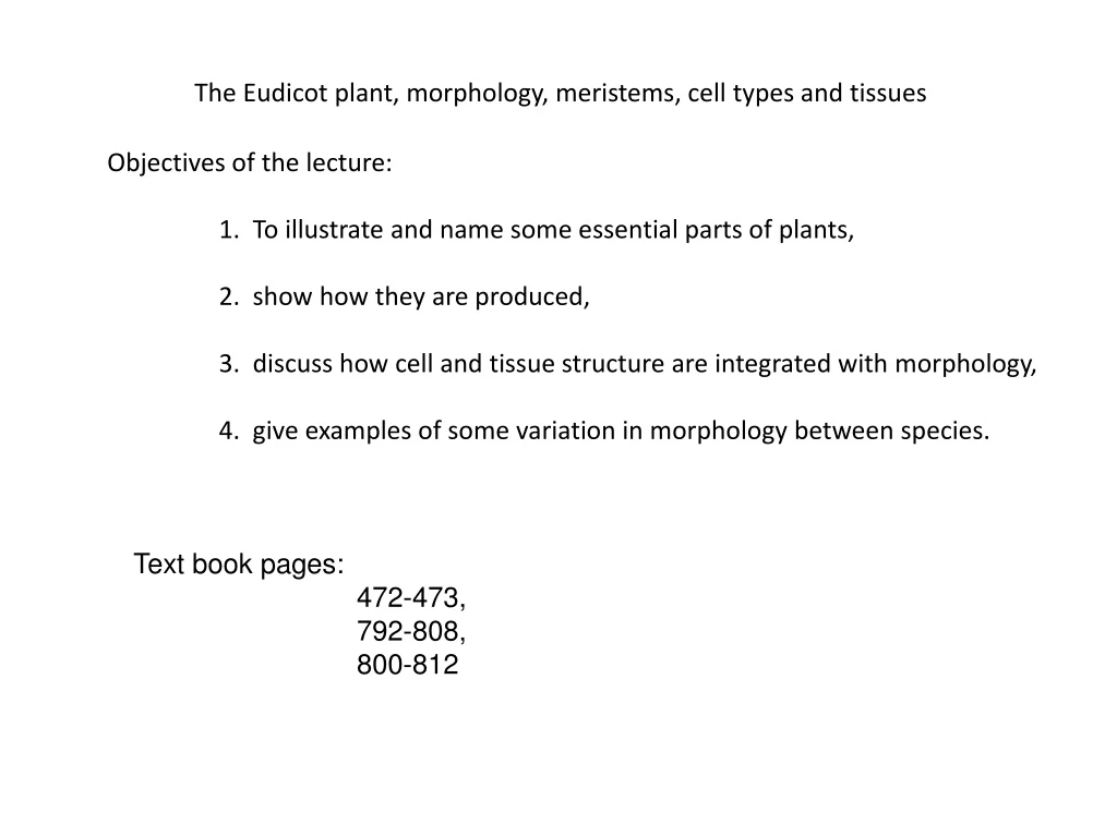 the eudicot plant morphology meristems cell types