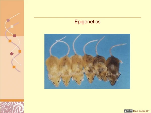 Epigenetics