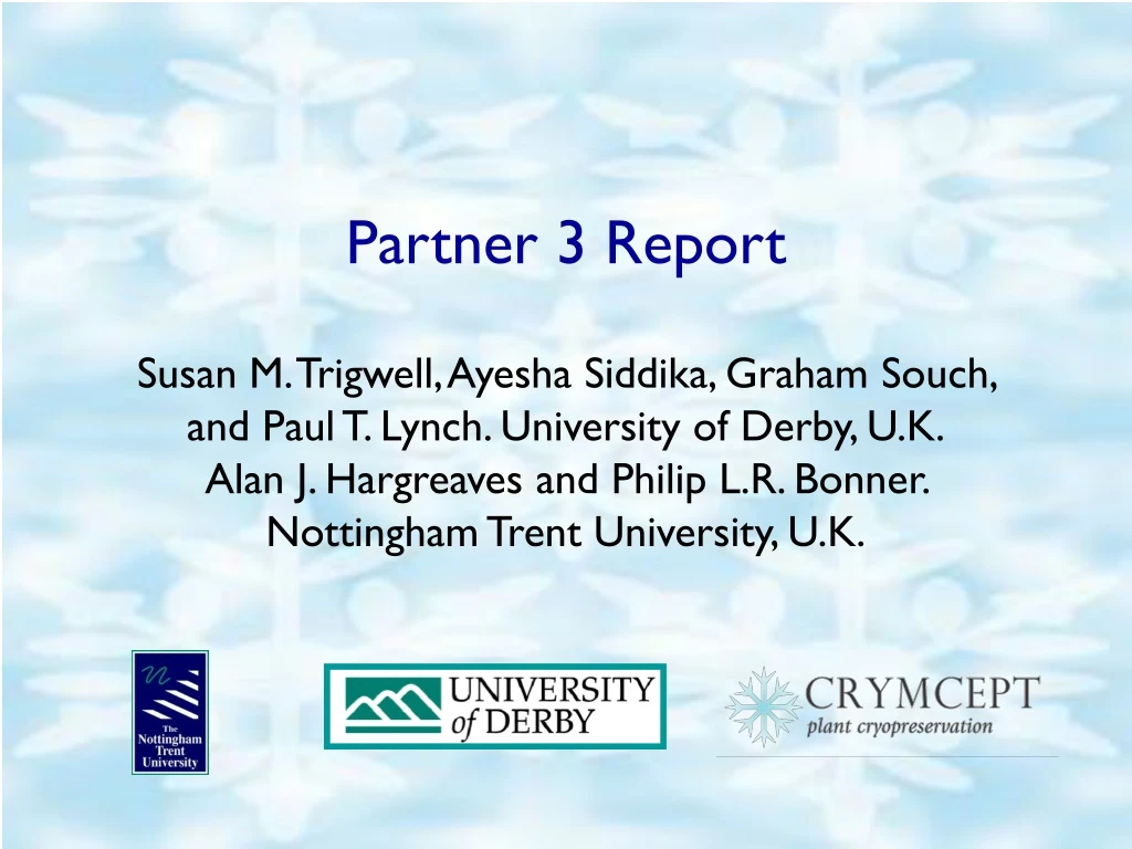 partner 3 report
