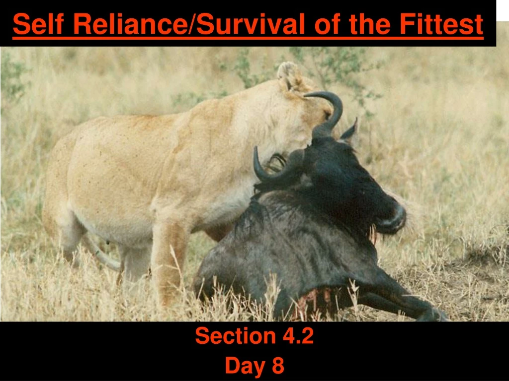self reliance survival of the fittest