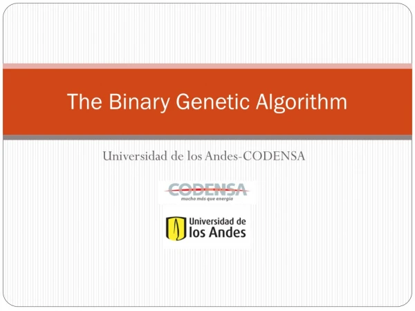 The Binary Genetic Algorithm