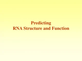 Predicting RNA Structure and Function - slide 1