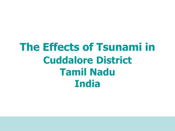 The Effects of Tsunami in  Cuddalore District Tamil Nadu India